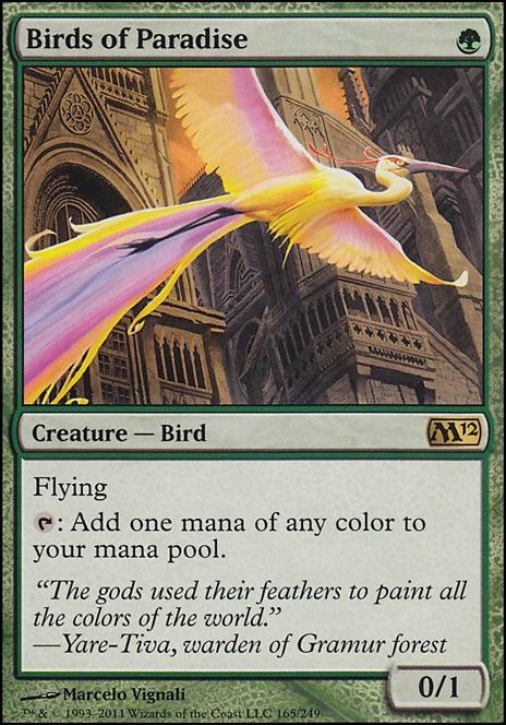 Birds of Paradise feature for Najeela's swarm