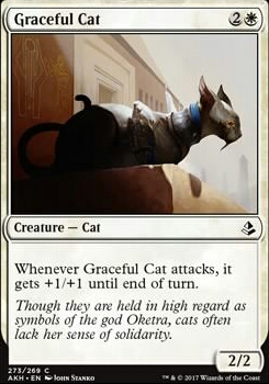 Featured card: Graceful Cat