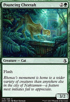 Featured card: Pouncing Cheetah
