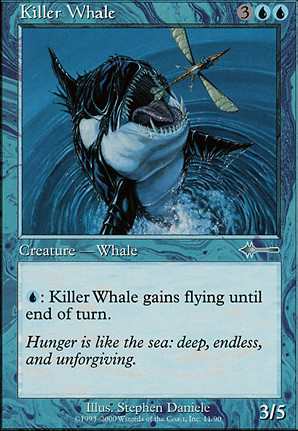 Killer Whale Killer Whale