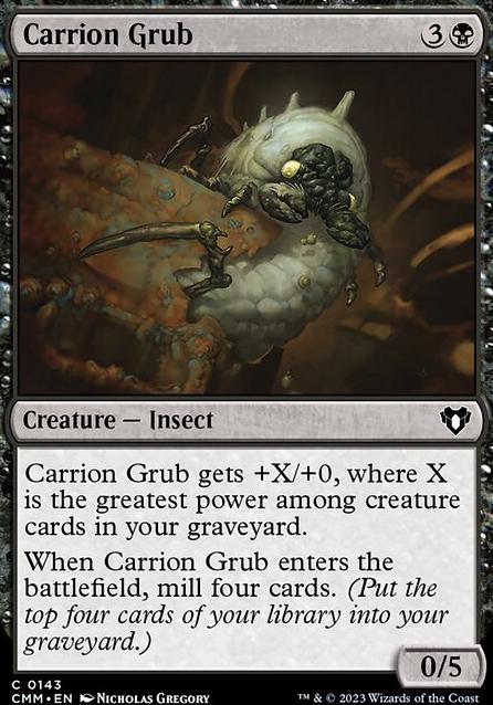 Commander: Carrion Grub