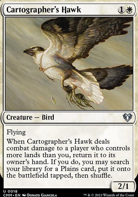 Cartographer's Hawk feature for Inniaz's Air Force 3 or less CMC