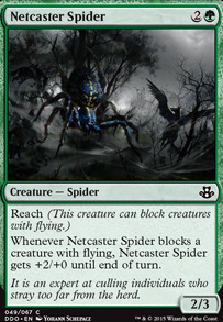 Featured card: Netcaster Spider