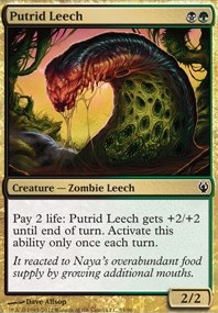 Featured card: Putrid Leech