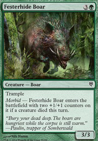 Featured card: Festerhide Boar