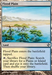 Flood Plain Flood Plain