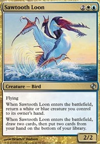Featured card: Sawtooth Loon