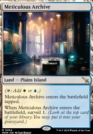 Meticulous Archive