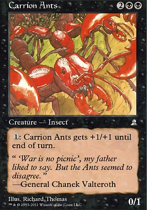 Carrion Ants Carrion Ants