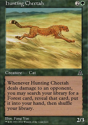 Hunting Cheetah Hunting Cheetah