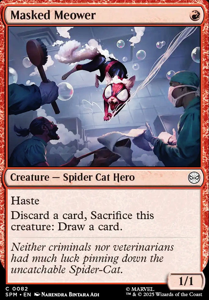 Masked Meower Masked Meower