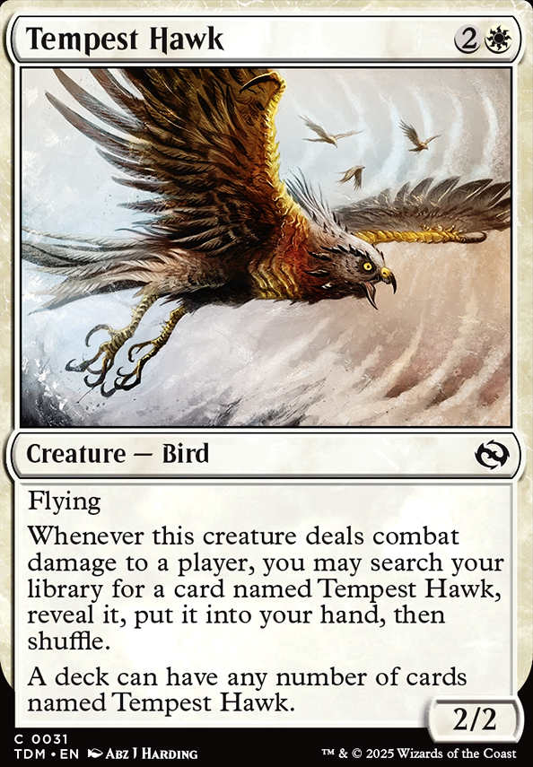 Tempest Hawk Tempest Hawk