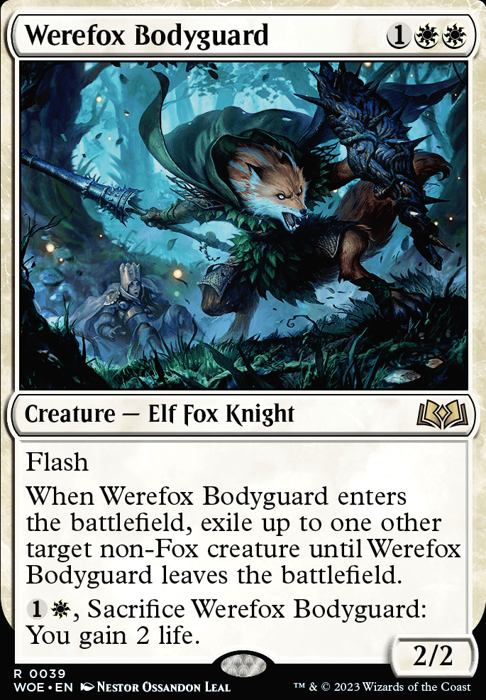 Werefox Bodyguard feature for Elves of Eldraine (Budget)