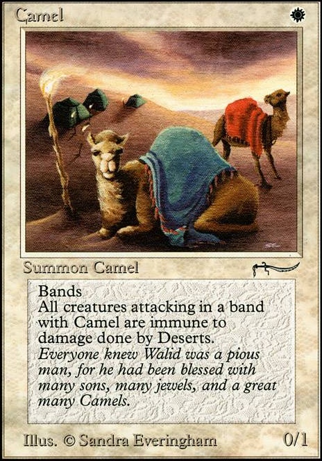 Featured card: Camel