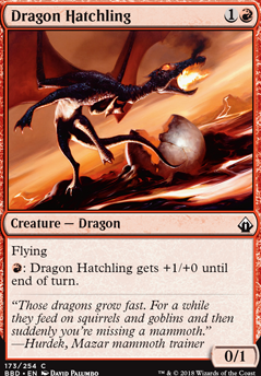 Dragon Hatchling Dragon Hatchling
