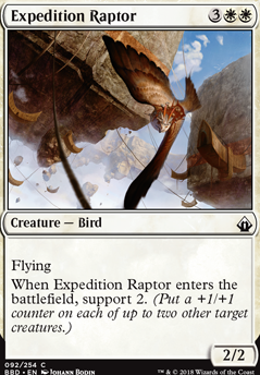 Featured card: Expedition Raptor