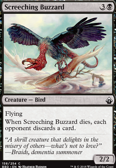 Screeching Buzzard