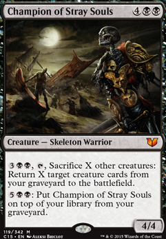 Champion of Stray Souls Champion of Stray Souls