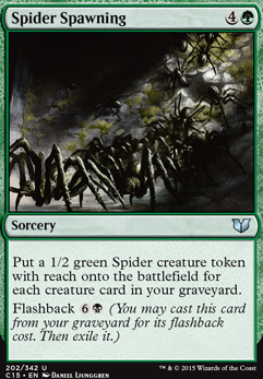 Spider Spawning Spider Spawning
