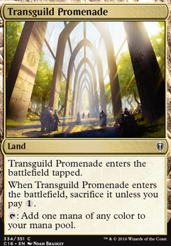 Featured card: Transguild Promenade