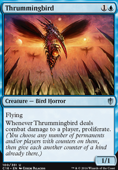 Featured card: Thrummingbird