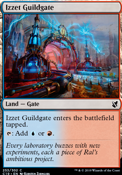 Izzet Guildgate feature for Burn down the library!
