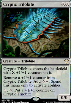 Featured card: Cryptic Trilobite