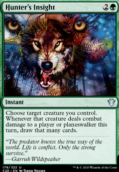 Hunter's Insight Hunter's Insight
