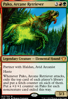 Pako, Arcane Retriever feature for The Adventures Of Man And His Best Friend