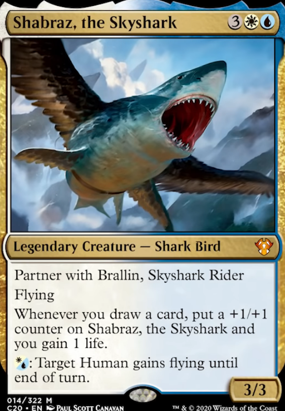 Shabraz, the Skyshark feature for The Adventures of Brawlin' Brallin n The Skyshark