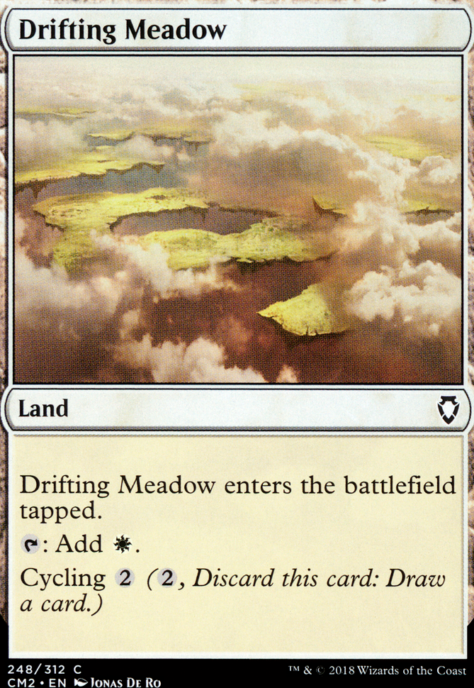 Drifting Meadow Drifting Meadow