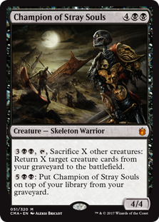 Champion of Stray Souls Champion of Stray Souls