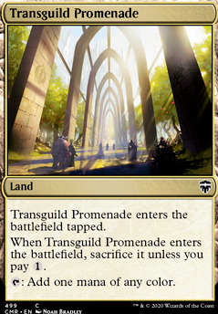 Featured card: Transguild Promenade