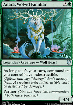 Anara, Wolvid Familiar feature for Protectors of the Curse (Werewolf) EDH