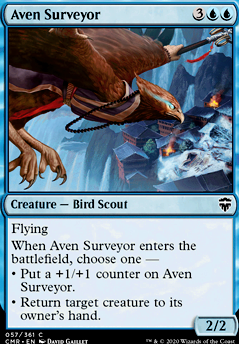 Featured card: Aven Surveyor