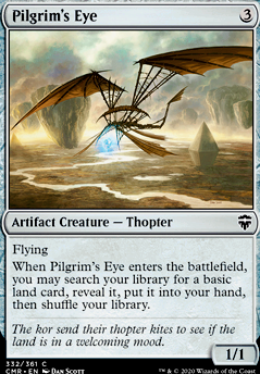 Pilgrim's Eye Pilgrim's Eye