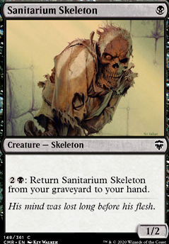 Sanitarium Skeleton feature for Sengir has a Pet Lizard