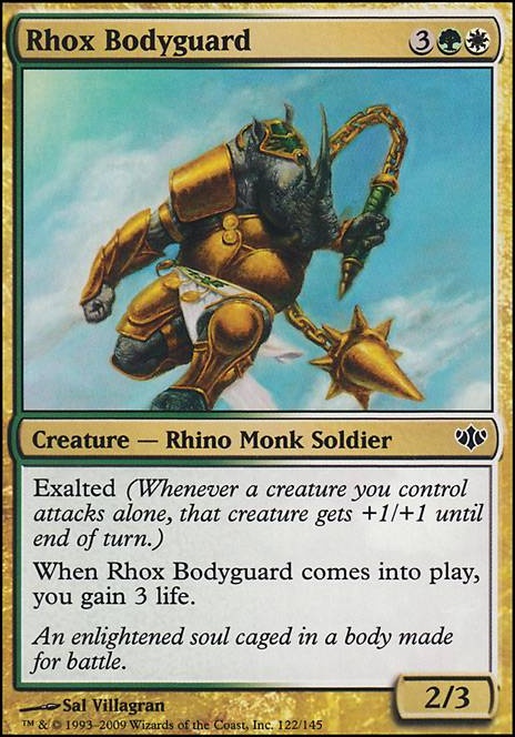 Rhox Bodyguard