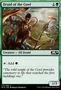 Featured card: Druid of the Cowl