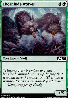 Featured card: Thornhide Wolves