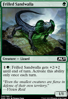 Featured card: Frilled Sandwalla