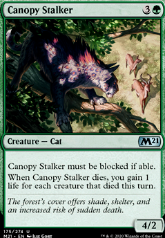 Featured card: Canopy Stalker