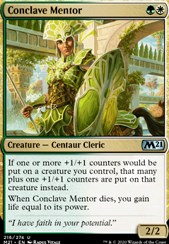 Conclave Mentor feature for +1/+1 Counters
