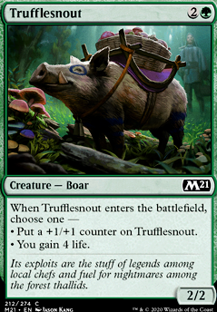 Featured card: Trufflesnout