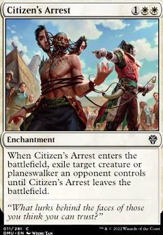 Citizen's Arrest
