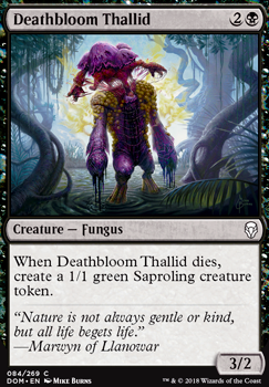 Featured card: Deathbloom Thallid