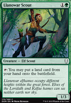Featured card: Llanowar Scout
