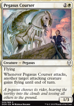 Featured card: Pegasus Courser