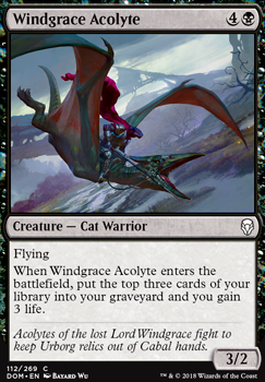 Windgrace Acolyte