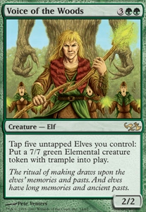 Voice of the Woods Voice of the Woods